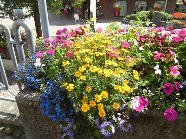 Traveler Digital Camera